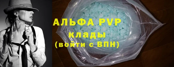 прущие грибы Магас