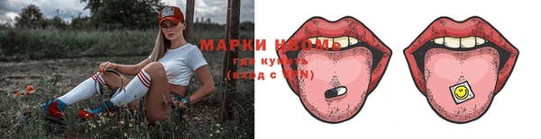 прущие грибы Магас