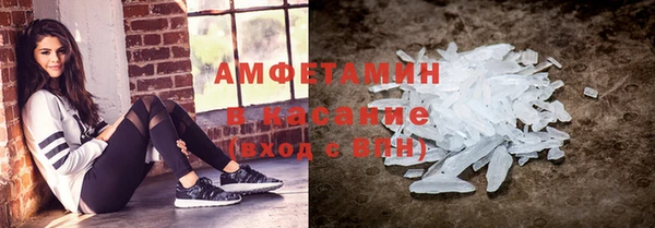 прущие грибы Магас