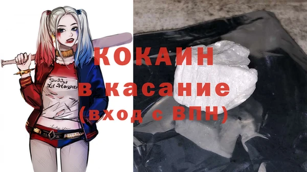 прущие грибы Магас
