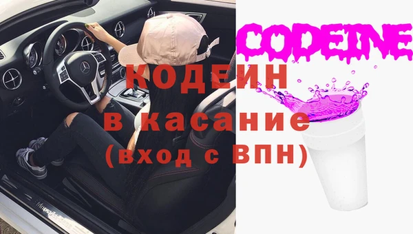 прущие грибы Магас