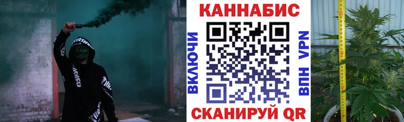 Каннабис план  Купить  Карачаевск 